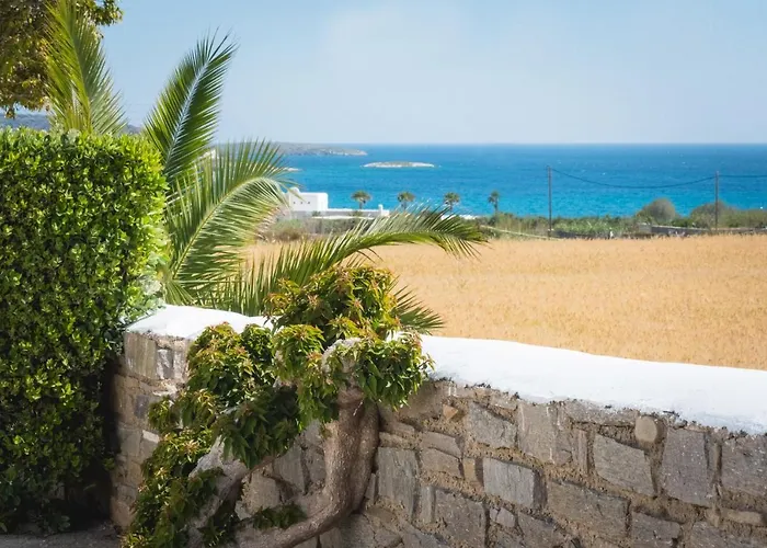 Navi B1 Brand New 2b/d In Naousa