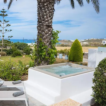 Navi B1 Brand New 2b/d In Naousa * Livadia (Paros)